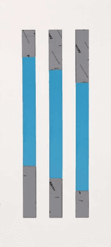 Entrance door panel INOX-06